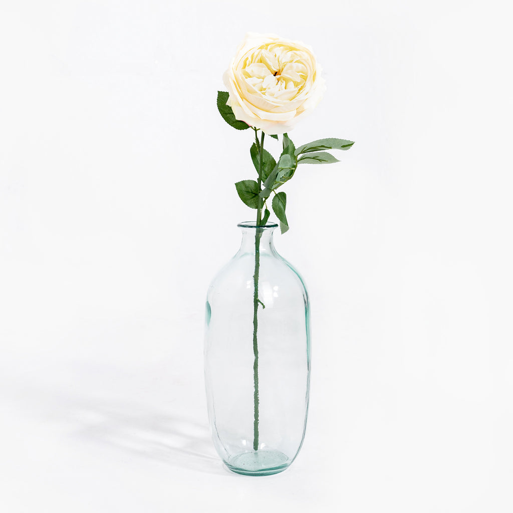 Clear glass vase with a single white rose on a white background