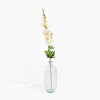Clear glass vase with a single white flower on a white background