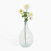 Clear glass vase with white flowers on a white background