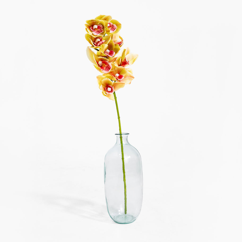 Yellow orchid in a clear glass vase on a white background