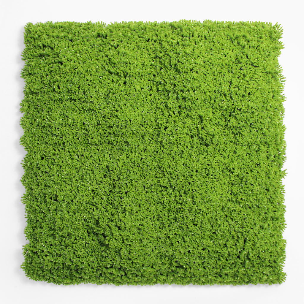 Square piece of green artificial grass on a white background