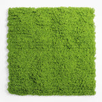Square piece of green artificial grass on a white background