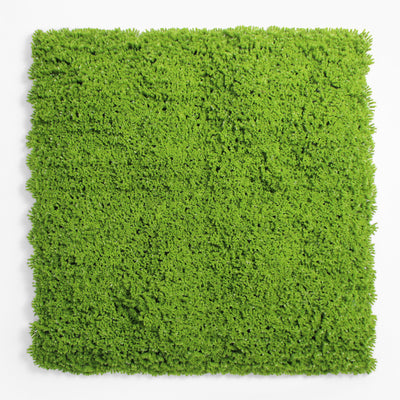 Square piece of green artificial grass on a white background
