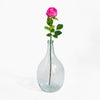 Clear glass vase with a pink rose on a white background