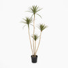 Potted artificial plant with multiple stems on a white background