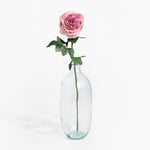 Clear glass vase with a single pink rose on a white background