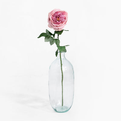 Clear glass vase with a single pink rose on a white background