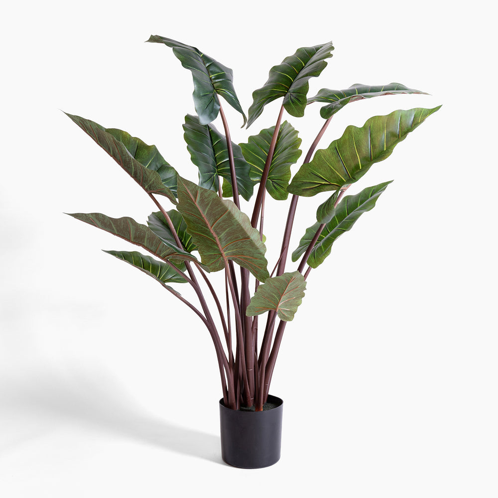 Artificial potted plant with large green leaves on a white background