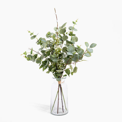 Bouquet of eucalyptus in a clear glass vase on a white background