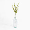 Clear glass vase with a single green branch on a white background