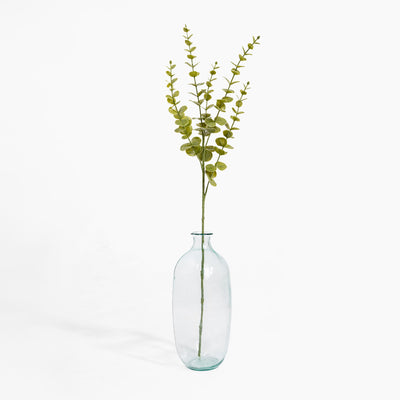 Clear glass vase with a single green branch on a white background
