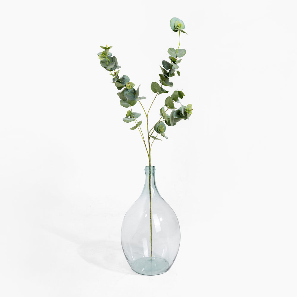 Clear glass vase with eucalyptus branches on a white background