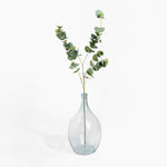 Clear glass vase with eucalyptus branches on a white background