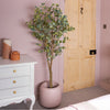 Potted plant in a room with a white dresser and wooden door.