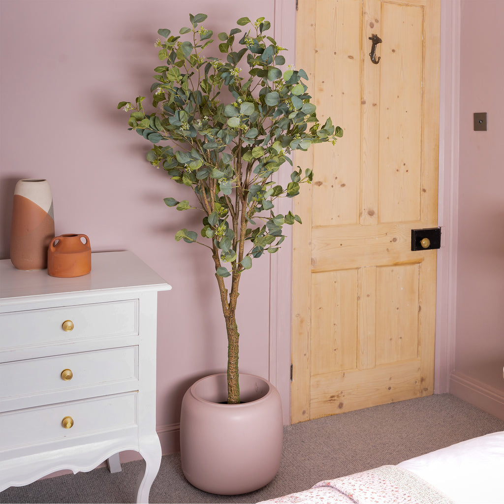 Potted plant in a room with a white dresser and wooden door.
