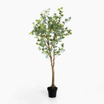 Potted artificial eucalyptus tree on a white background