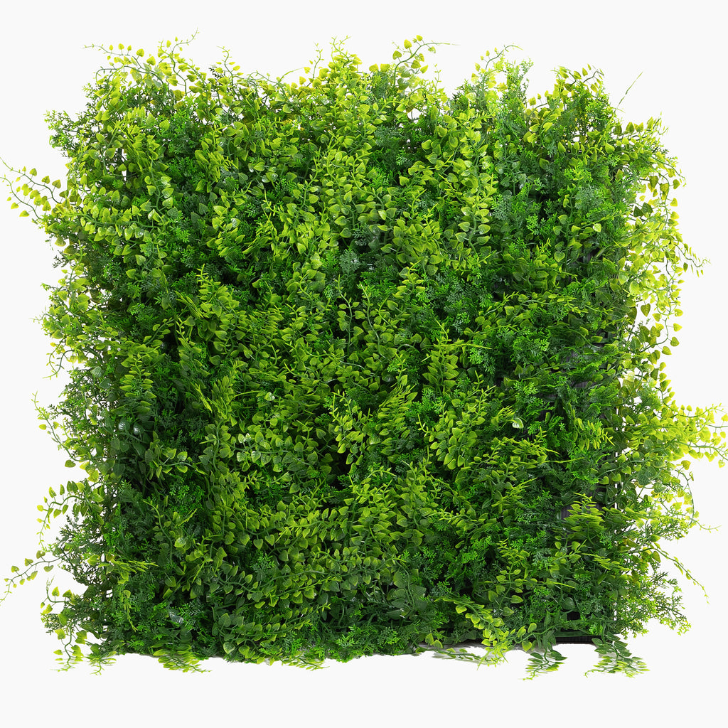 Square patch of green foliage on a white background