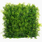 Square patch of green foliage on a white background