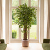 Potted plant in a room with large windows and green outdoor view