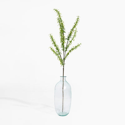 Clear glass vase with green branches on a white background