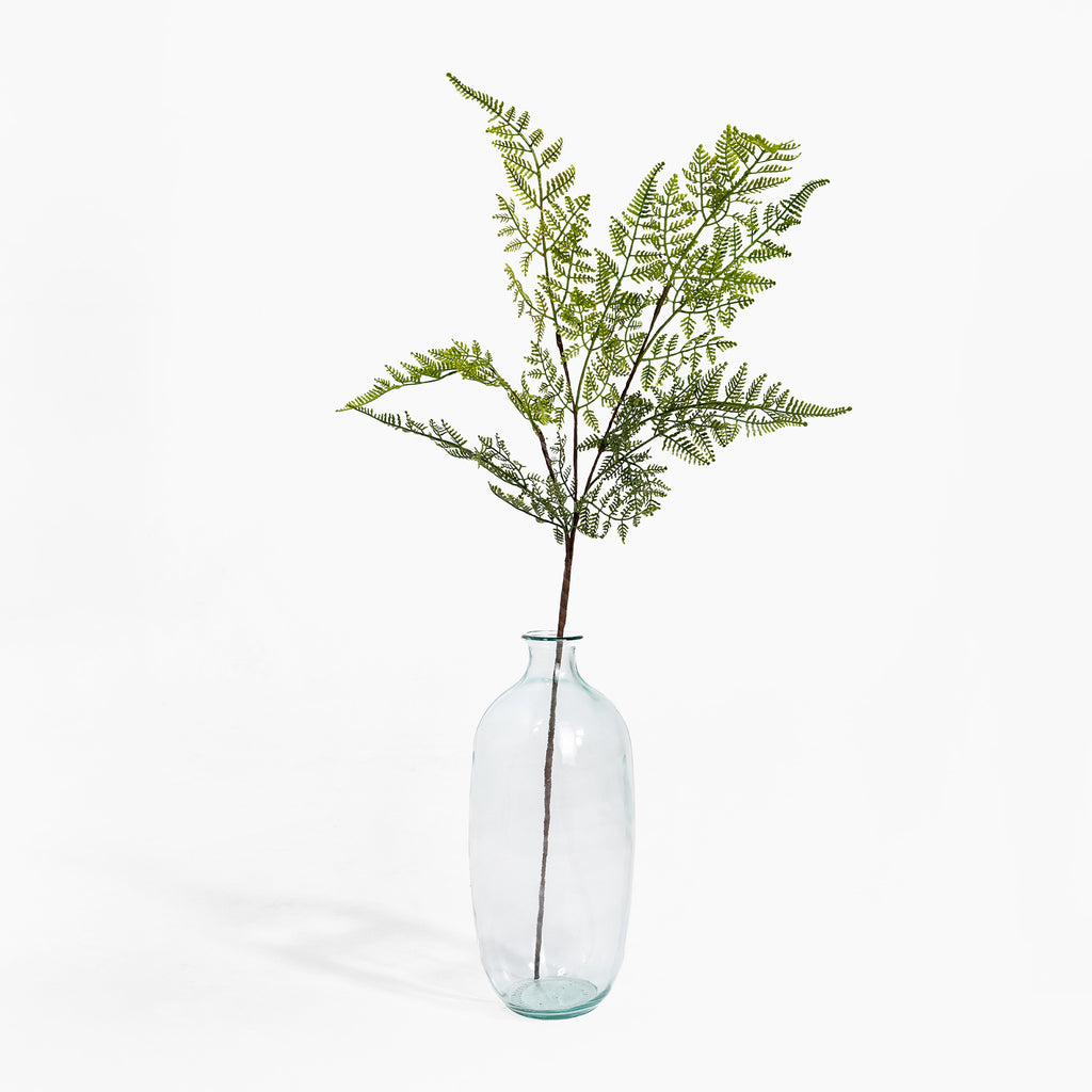 Clear glass vase with a single green fern branch on a white background