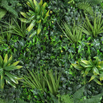 Various types of green plants arranged in a pattern
