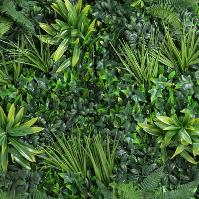 Various types of green plants arranged in a pattern