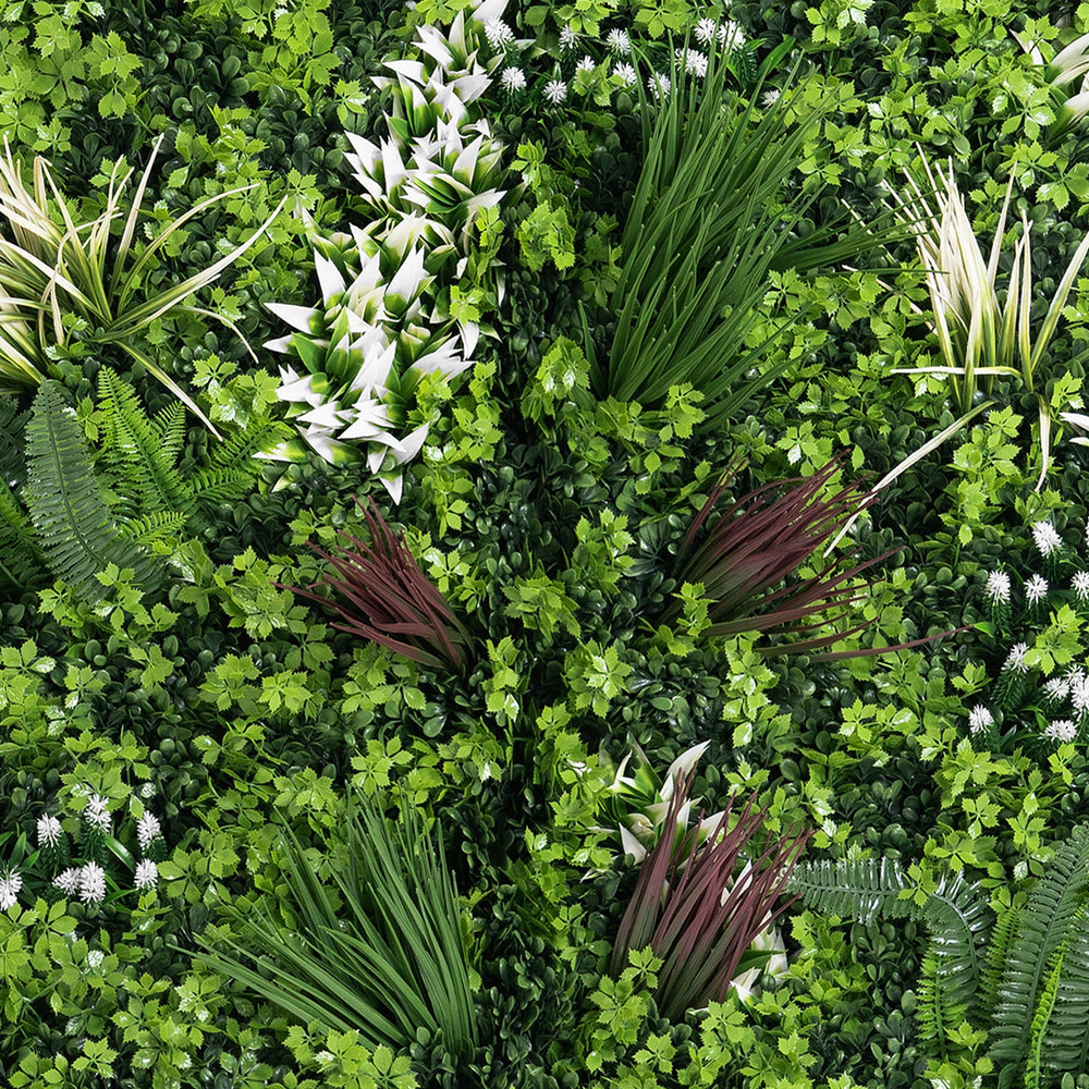 Various types of green plants arranged in a decorative pattern