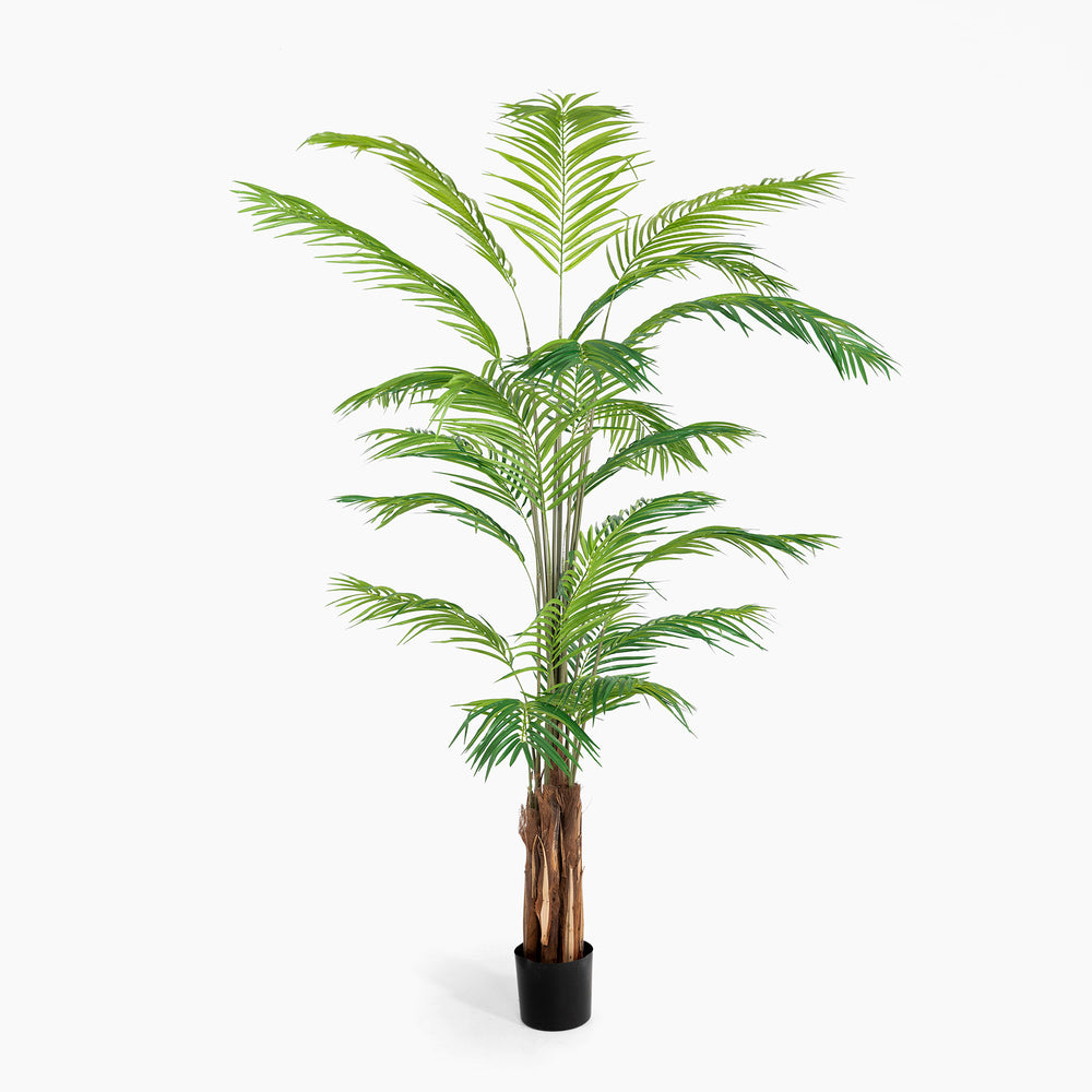 Potted artificial palm tree on a white background