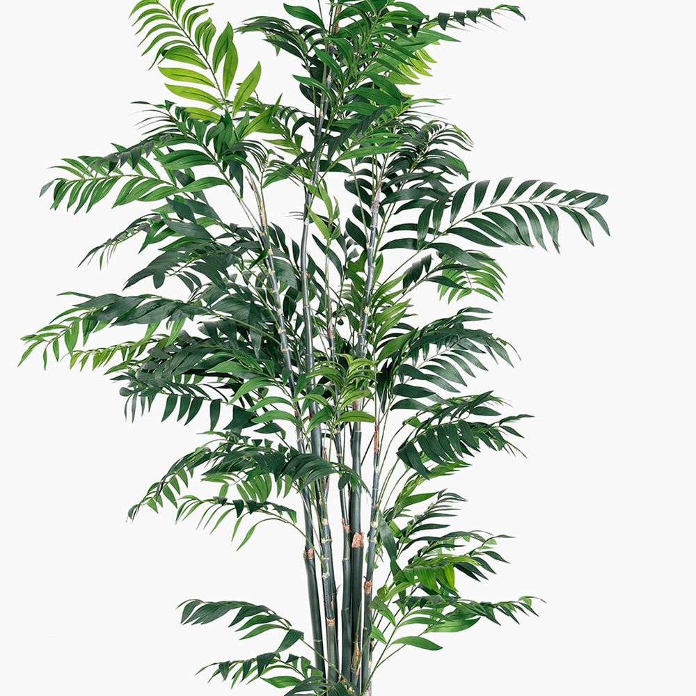 Artificial green palm plant on a white background