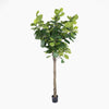 Artificial potted tree with green leaves on a white background