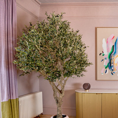 Potted plant in a room with pink walls, a radiator, and a colorful abstract painting.
