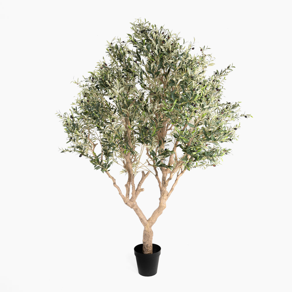 Potted artificial olive tree on a white background