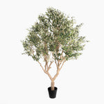 Potted artificial olive tree on a white background