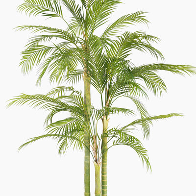 Artificial golden cane palm