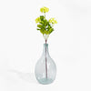 Clear glass vase with green plant on a white background