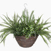 Hanging basket with green ferns and plants on a white background