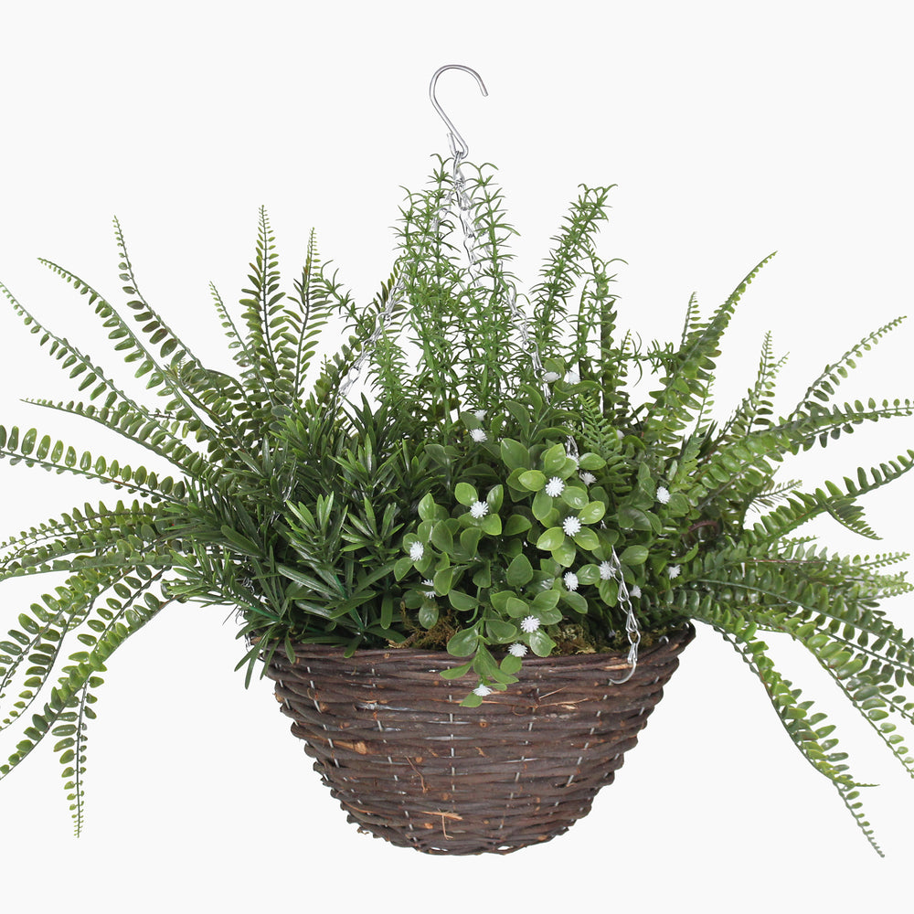 Hanging basket with green ferns and plants on a white background