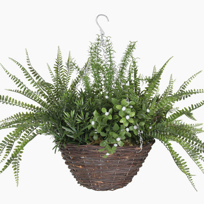 Hanging basket with green ferns and plants on a white background