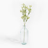 Clear glass vase with green stems on a white background