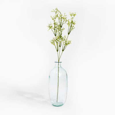 Clear glass vase with green stems on a white background