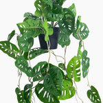Artificial hanging monkey monstera foliage