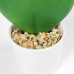 Artificial hoya heart in white plastic planter close-up
