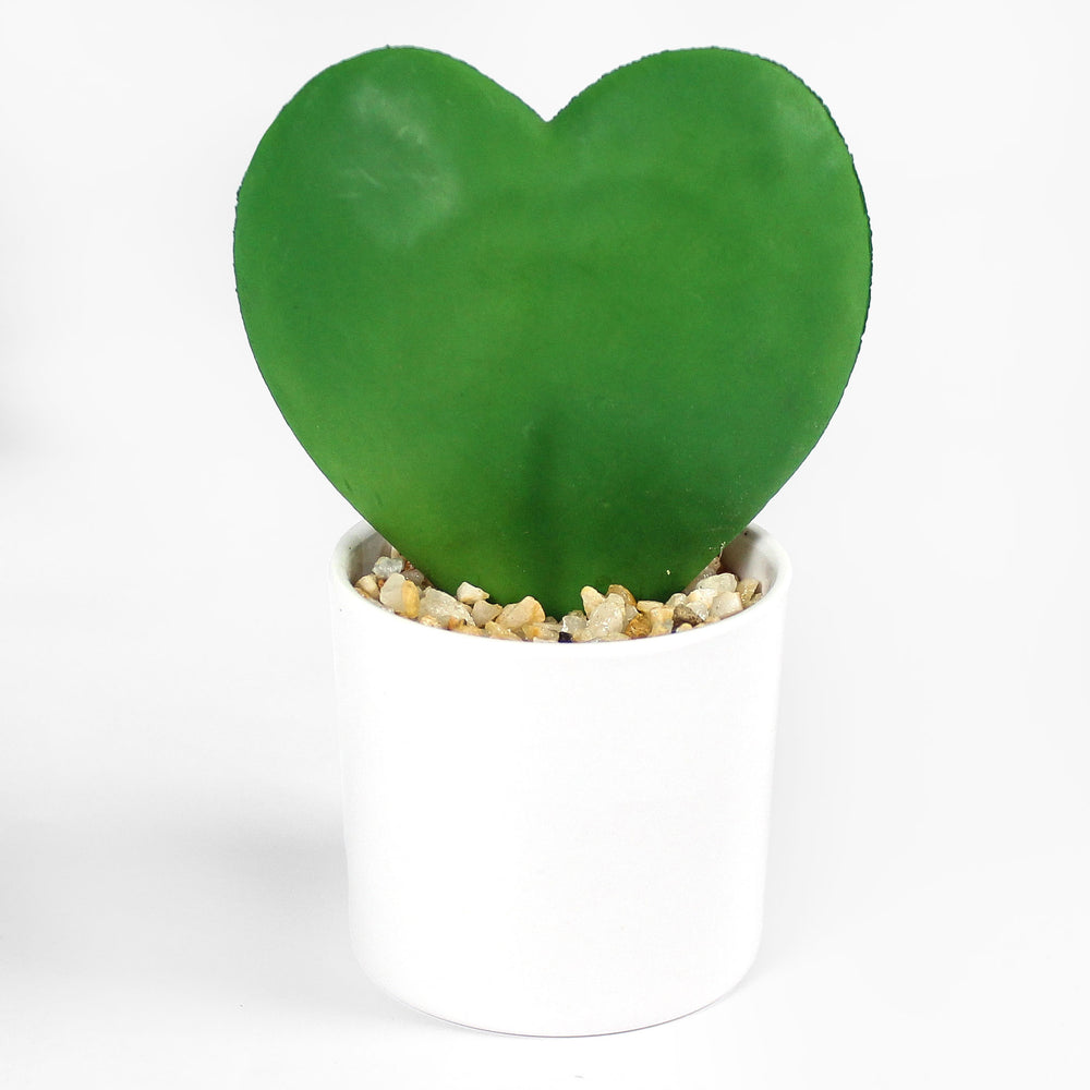 Artificial hoya heart in white plastic planter on white background