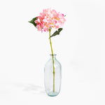 Clear glass vase with a single pink flower on a white background