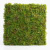 Square piece of green moss on a white background