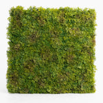 Square piece of green moss on a white background