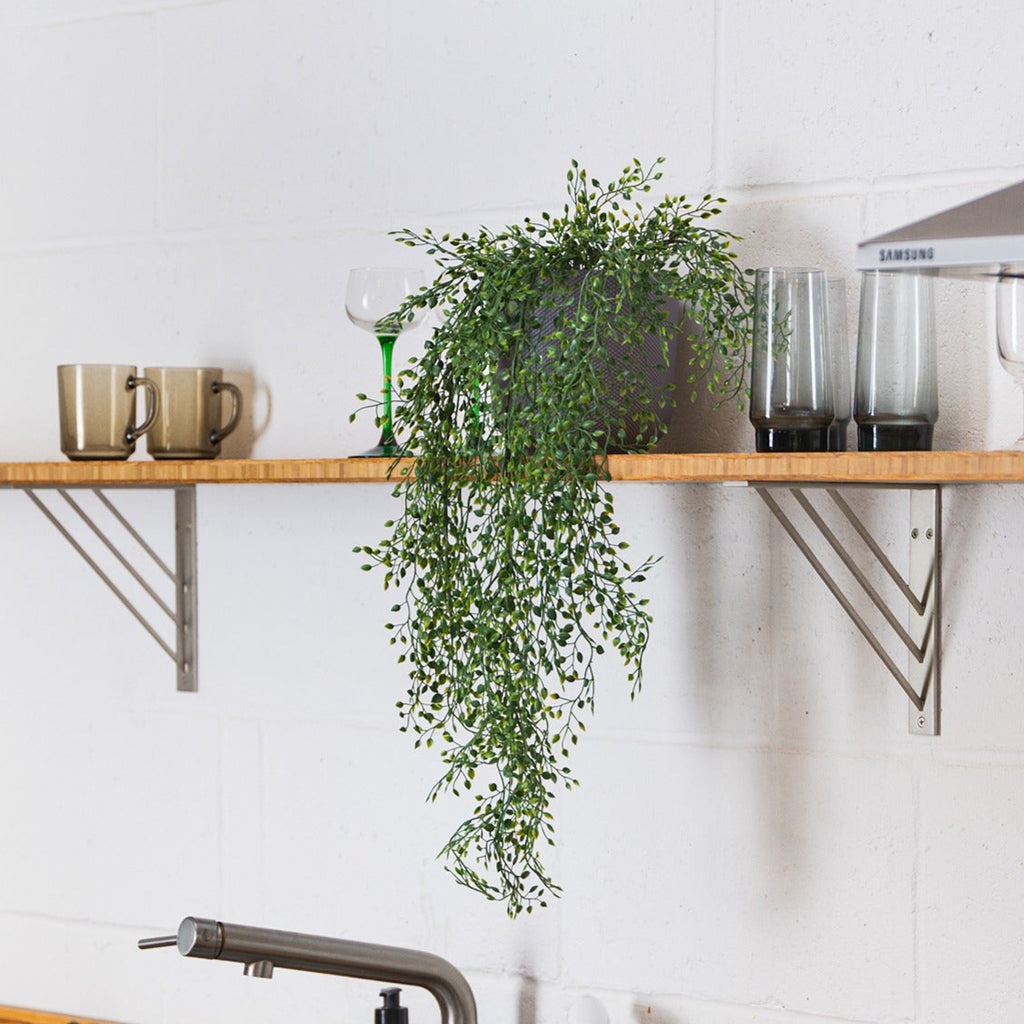 Modern kitchen with wooden countertops, stainless steel appliances, and a plant.