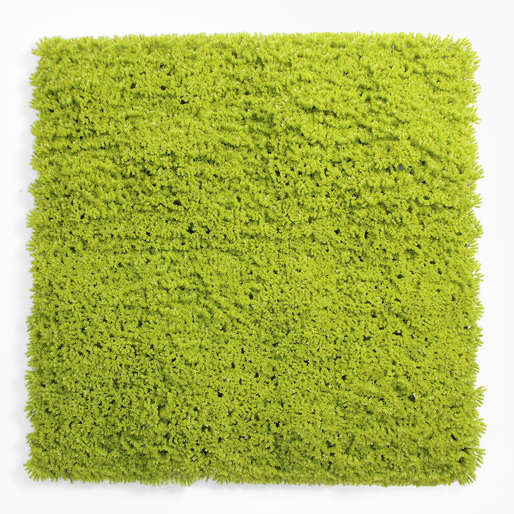 Square piece of green textured material on a white background