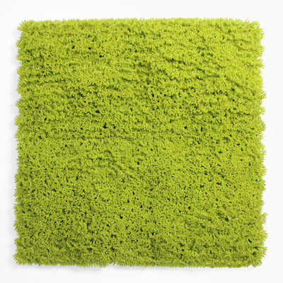 Square piece of green textured material on a white background